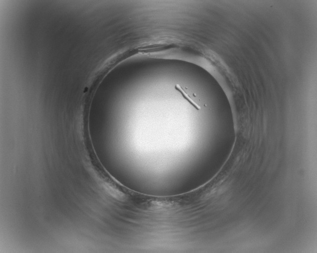 X0000071970442200607212322