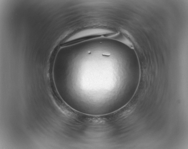 X0000071970443200607212322