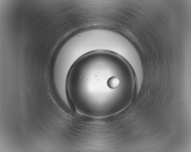 X0000071970444200607212322