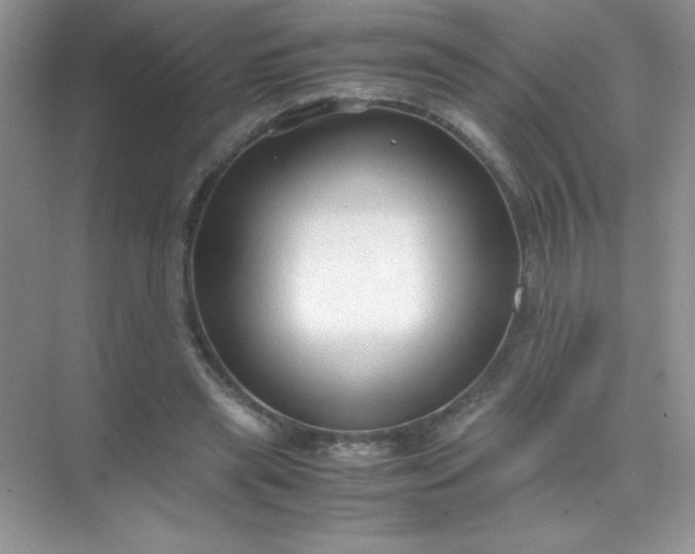 X0000071970445200607212322