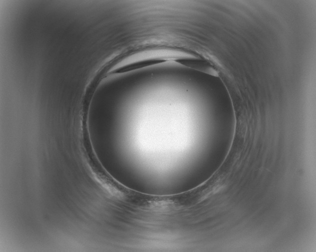 X0000071970446200607212322