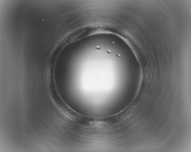 X0000071970448200607212322