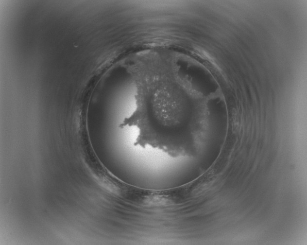 X0000071970451200607212322