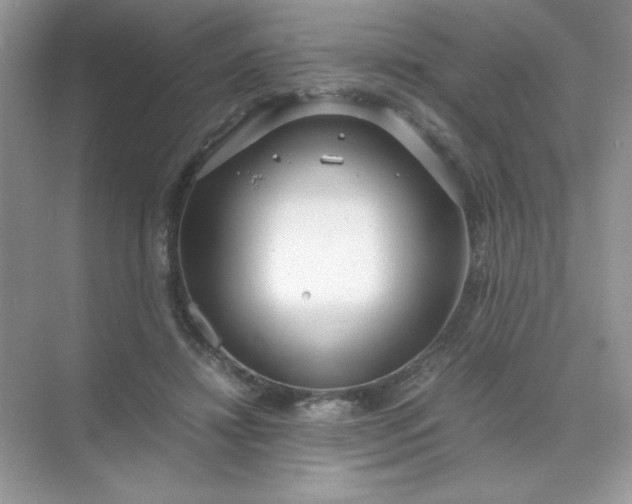 X0000071970452200607212322