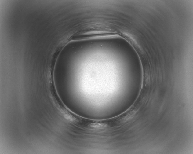 X0000071970453200607212322