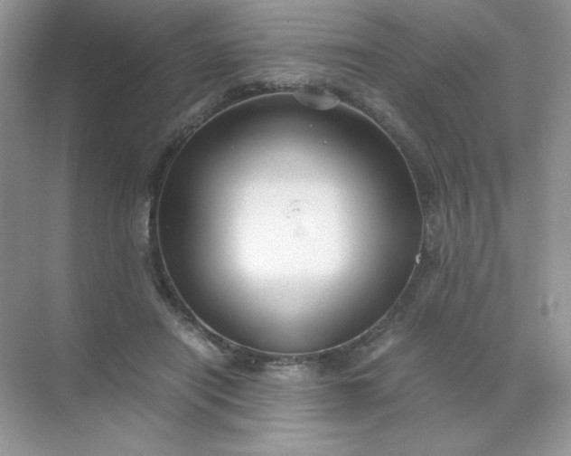 X0000071970454200607212322