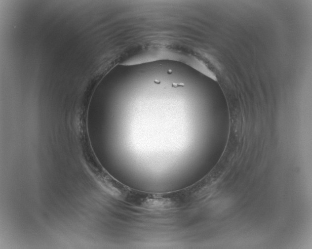 X0000071970455200607212322