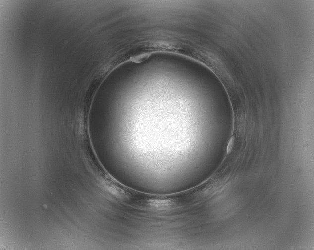 X0000071970457200607212322