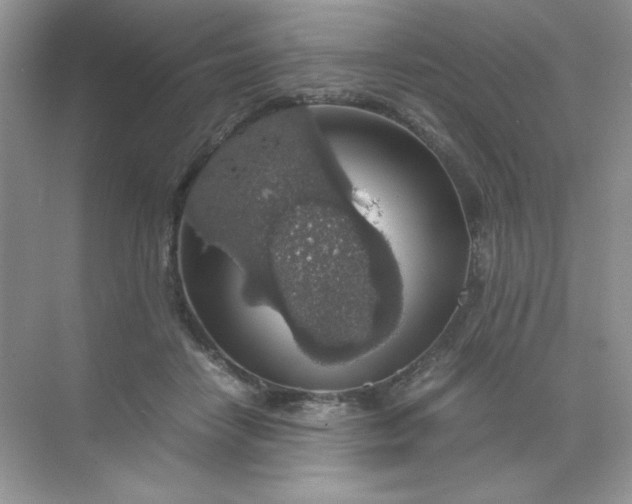 X0000071970458200607212322