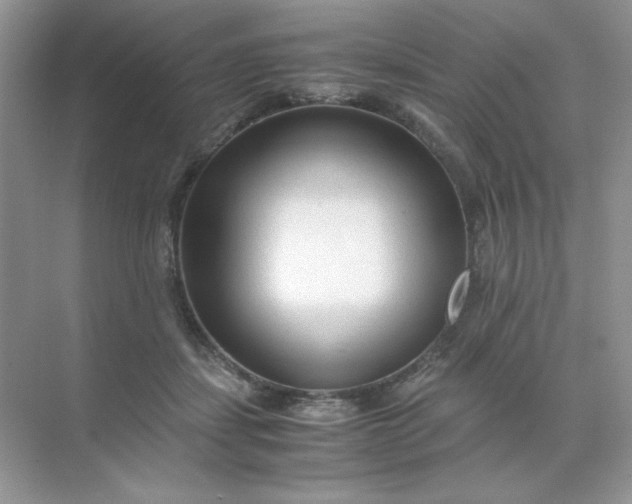 X0000071970459200607212322