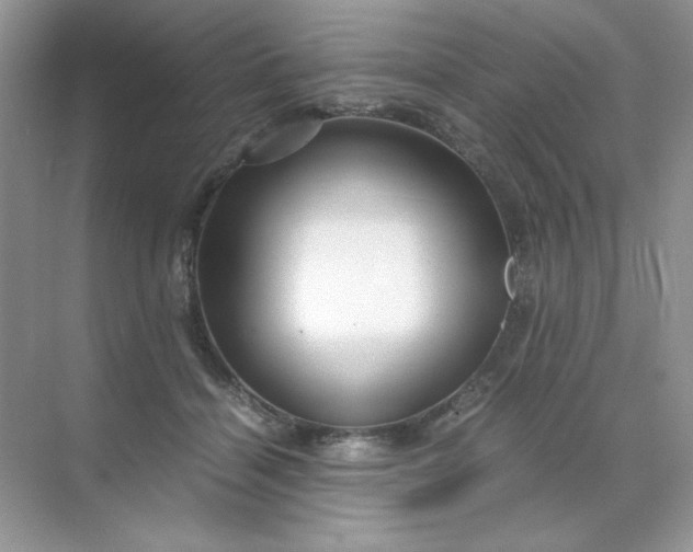 X0000071970460200607212322