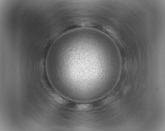 X0000071970461200607212322