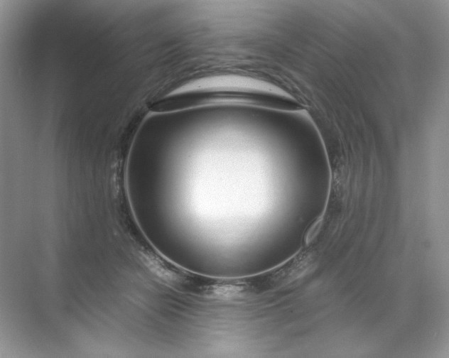 X0000071970462200607212322