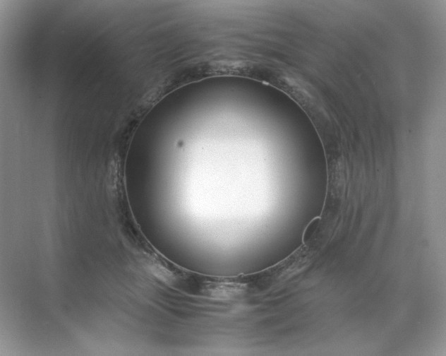 X0000071970463200607212323