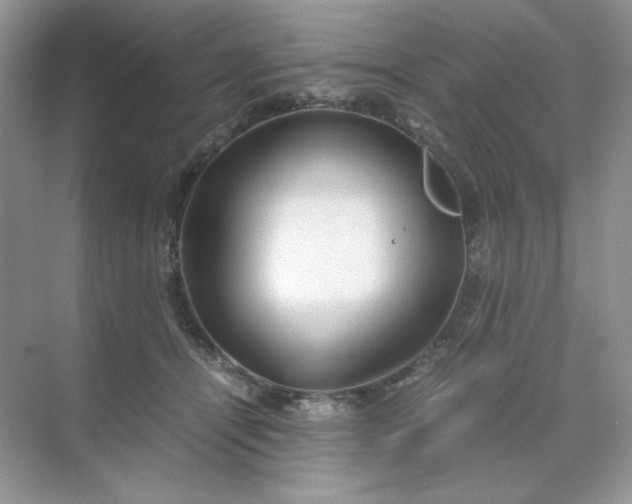 X0000071970464200607212323