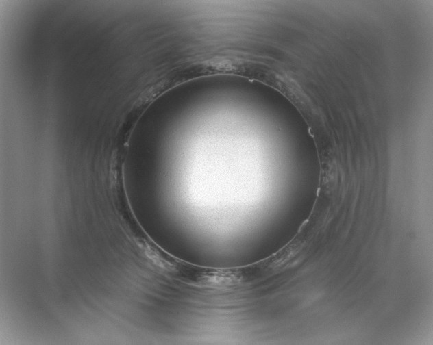 X0000071970466200607212323