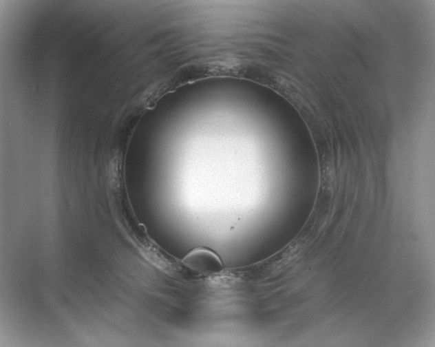 X0000071970468200607212323