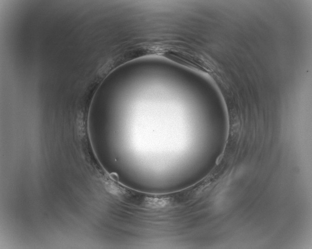 X0000071970469200607212323