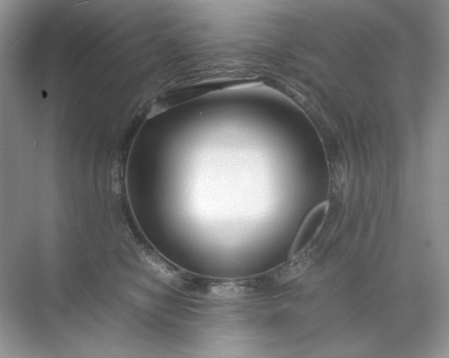 X0000071970470200607212323