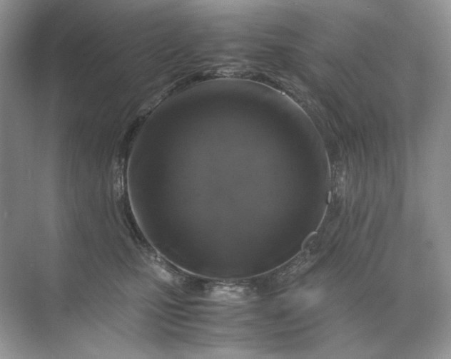 X0000071970471200607212323