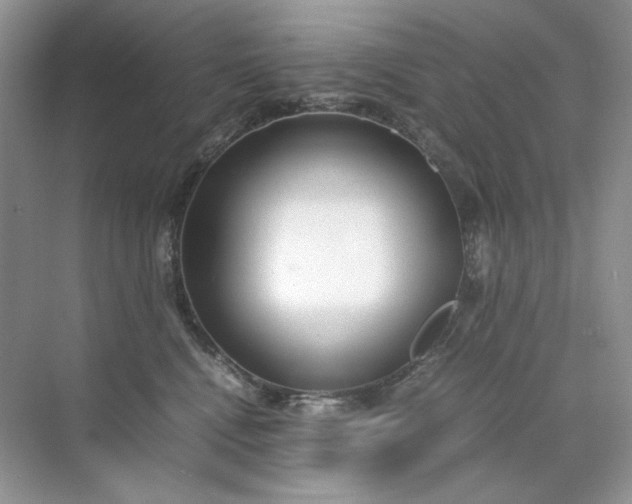 X0000071970472200607212323