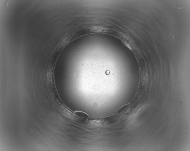 X0000071970473200607212323