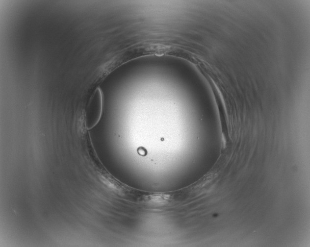 X0000071970474200607212323