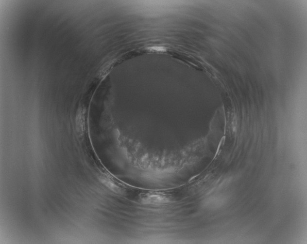 X0000071970475200607212323