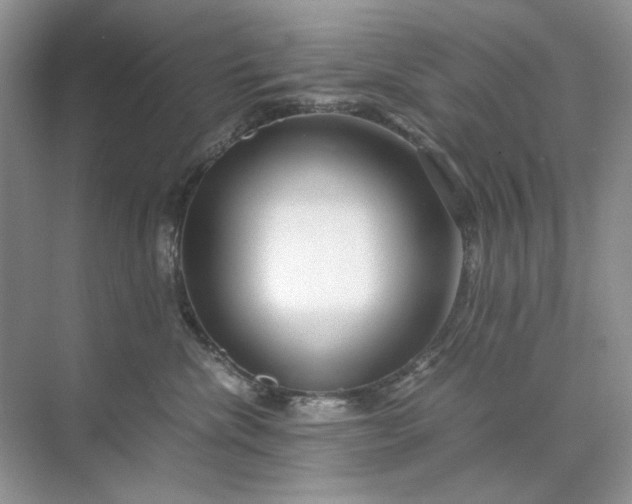 X0000071970476200607212323