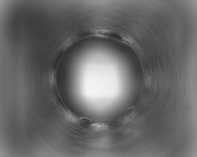 X0000071970477200607212323