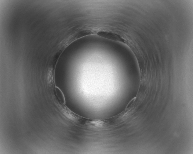 X0000071970478200607212323