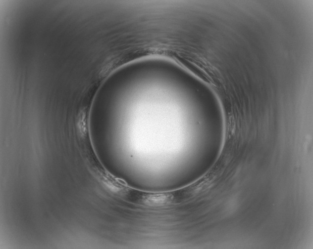 X0000071970479200607212323