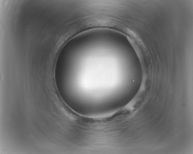 X0000071970481200607212322