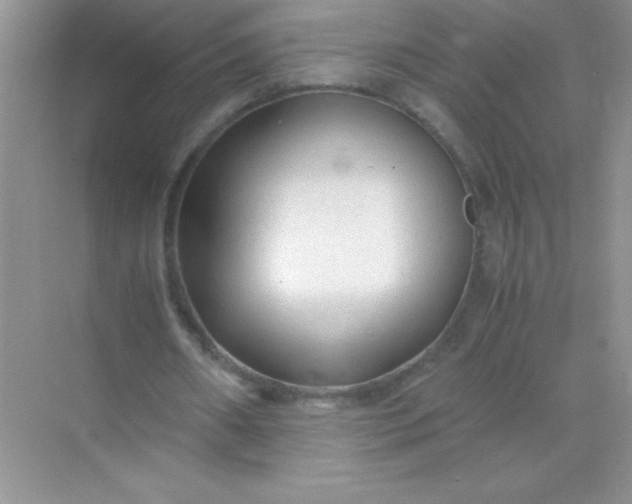 X0000071970482200607212322