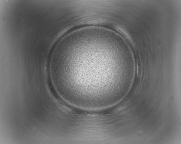 X0000071970483200607212322