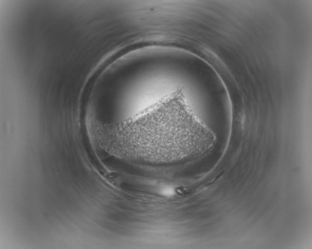 X0000071970484200607212322