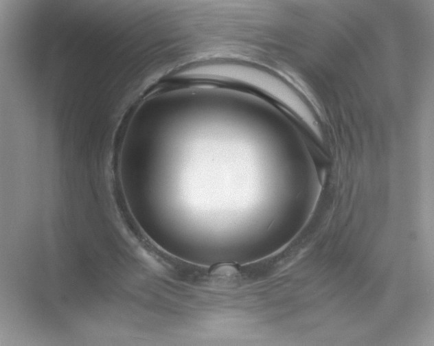 X0000071970485200607212322