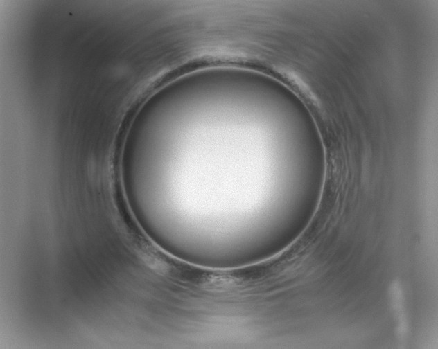 X0000071970487200607212322