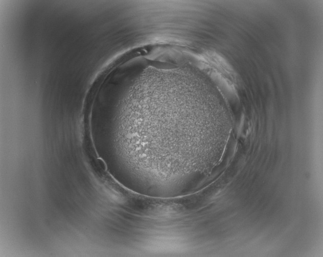 X0000071970488200607212322