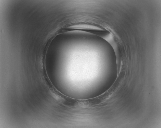 X0000071970489200607212322