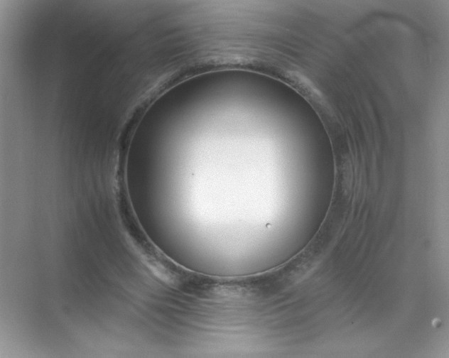 X0000071970490200607212322