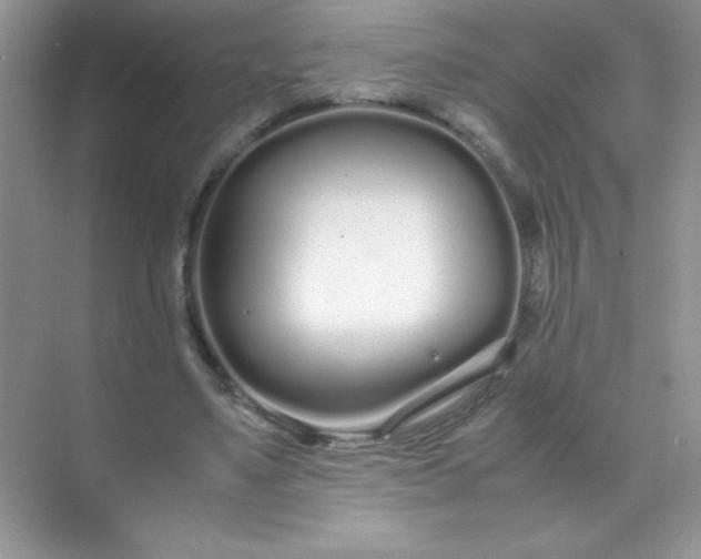 X0000071970491200607212322