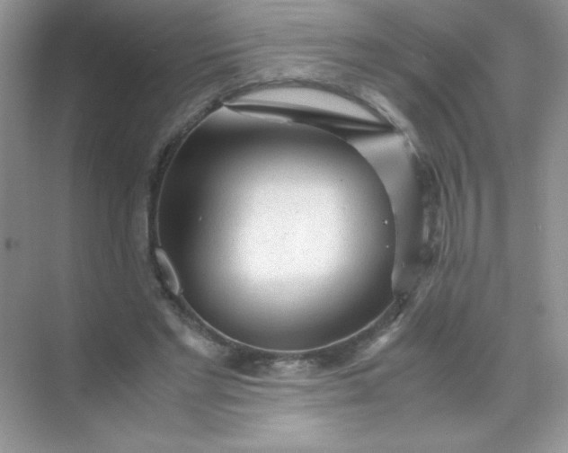 X0000071970493200607212322