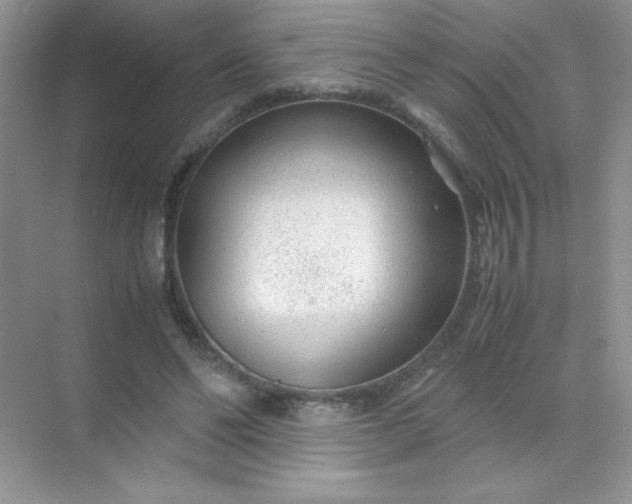 X0000071970494200607212322