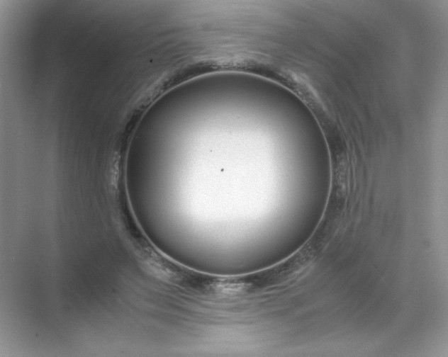 X0000071970495200607212322