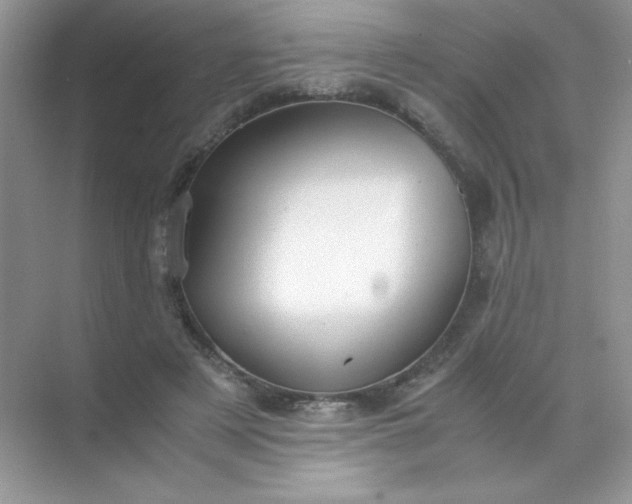 X0000071970497200607212322