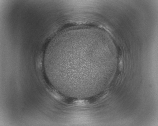 X0000071970499200607212322