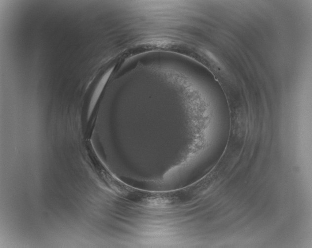 X0000071970500200607212322