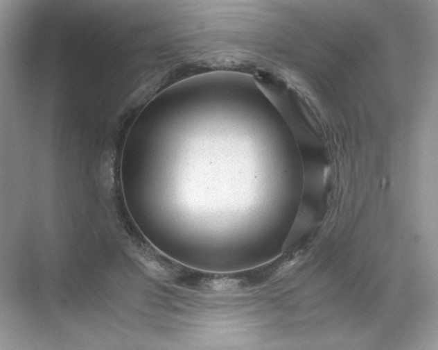 X0000071970501200607212322