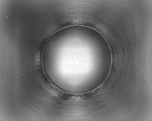 X0000071970502200607212322